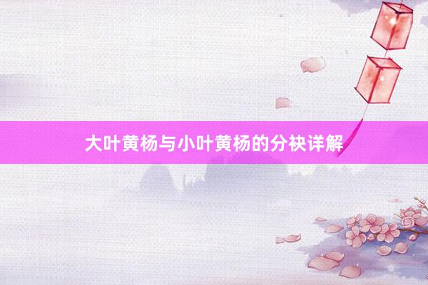 大叶黄杨与小叶黄杨的分袂详解