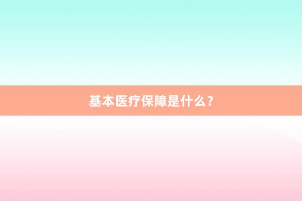 基本医疗保障是什么？