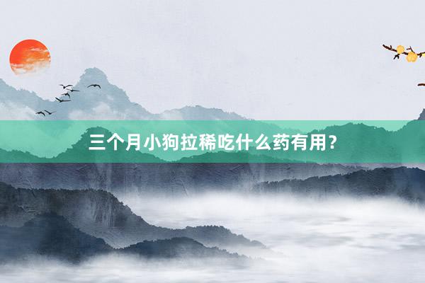 三个月小狗拉稀吃什么药有用？